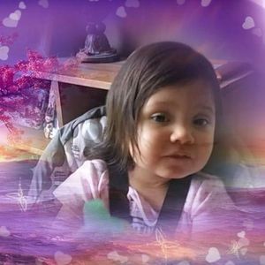 Meet your Posher, Wilma